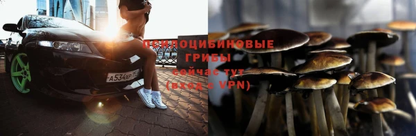 хмурый Горнозаводск