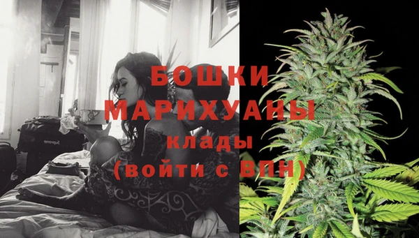ПСИЛОЦИБИНОВЫЕ ГРИБЫ Горняк