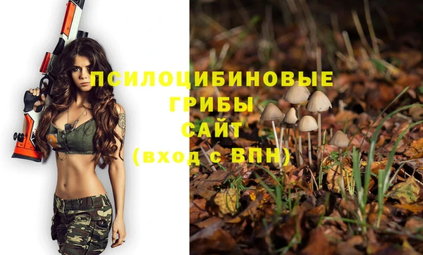 хмурый Горнозаводск