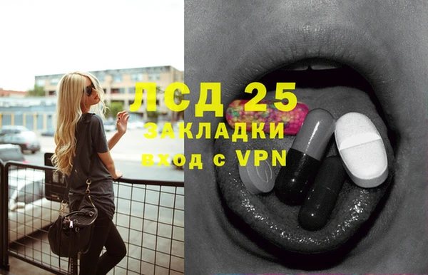 ПСИЛОЦИБИНОВЫЕ ГРИБЫ Горняк
