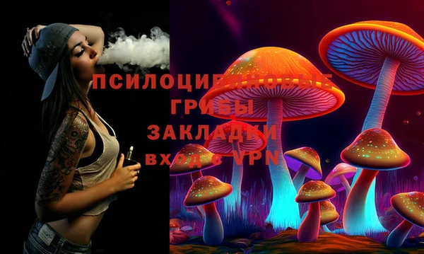 ПСИЛОЦИБИНОВЫЕ ГРИБЫ Горняк
