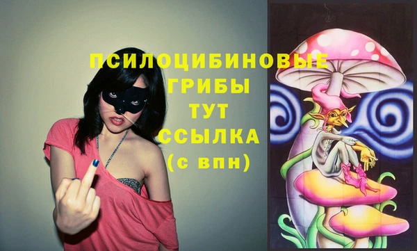 дурь Горно-Алтайск