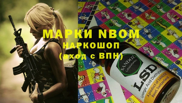 ПСИЛОЦИБИНОВЫЕ ГРИБЫ Горняк