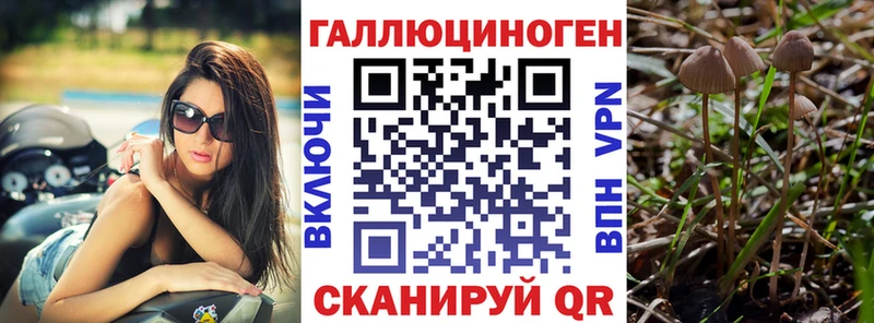 Галлюциногенные грибы Psilocybine cubensis  Альметьевск 